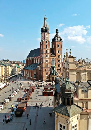 Etudier la médecine en Pologne
