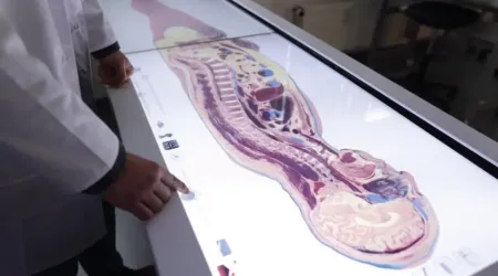 Salle d’anatomie équipée de tables Anatomage à l’UMCH