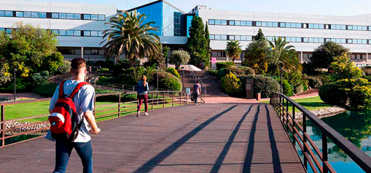 Universidad Europea - études de vétérinaires