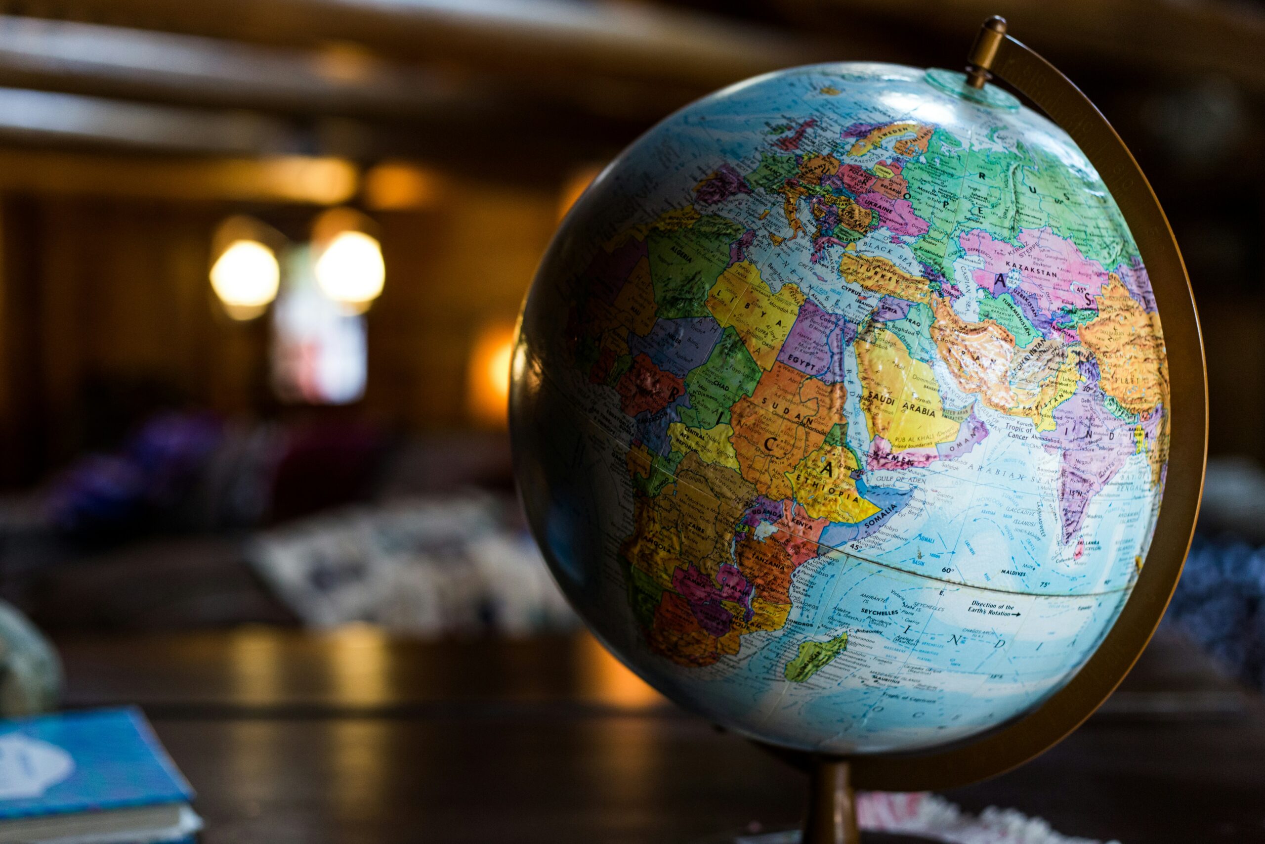 Des études internationales à la LSU